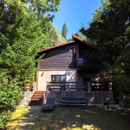 Mountain Family Chalet On Prahova Valley Комарник Екстериор снимка