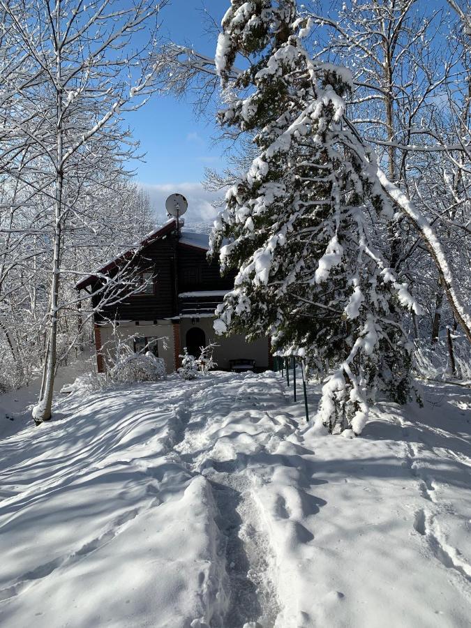 Mountain Family Chalet On Prahova Valley Комарник Екстериор снимка