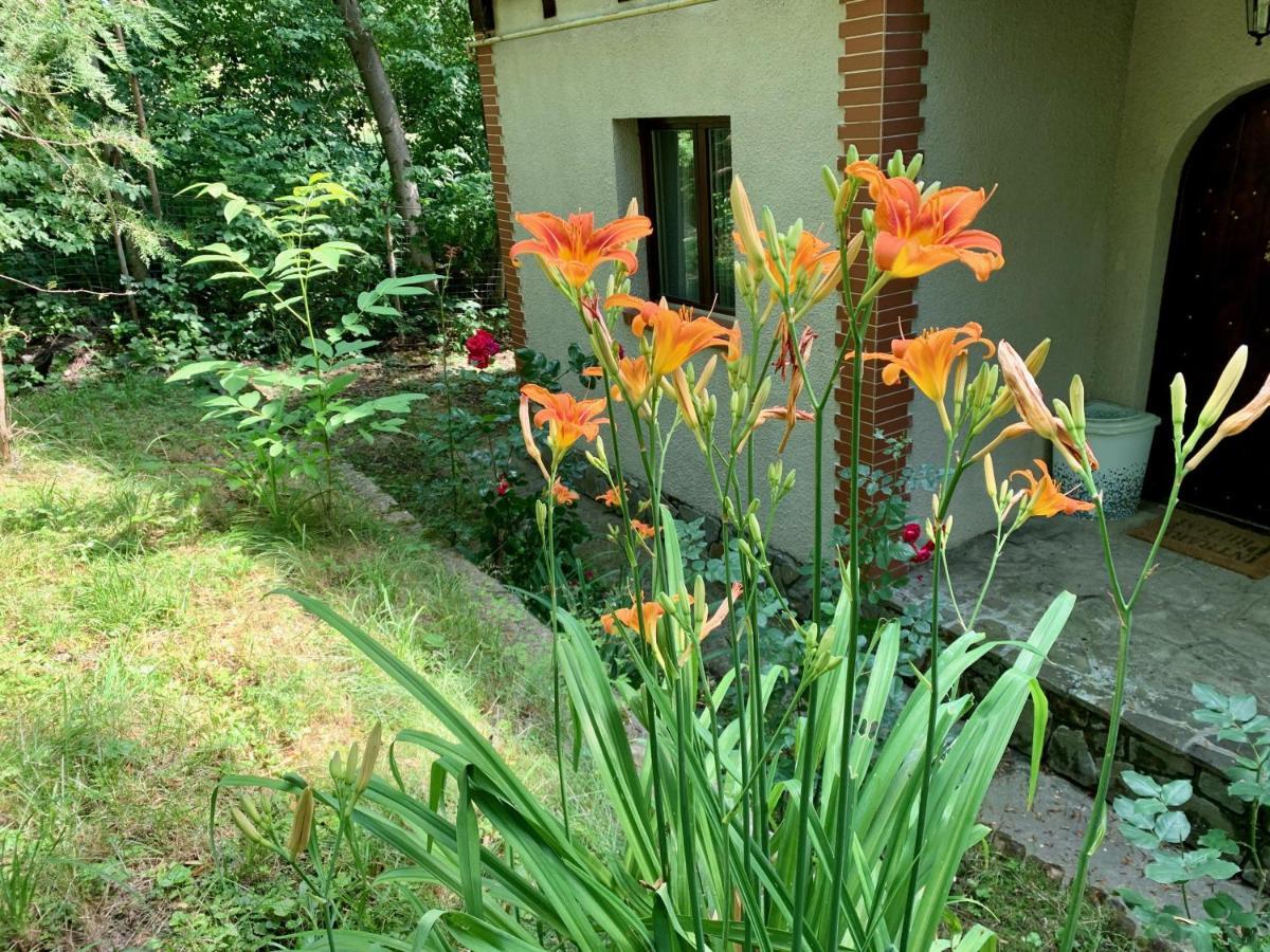 Mountain Family Chalet On Prahova Valley Комарник Екстериор снимка
