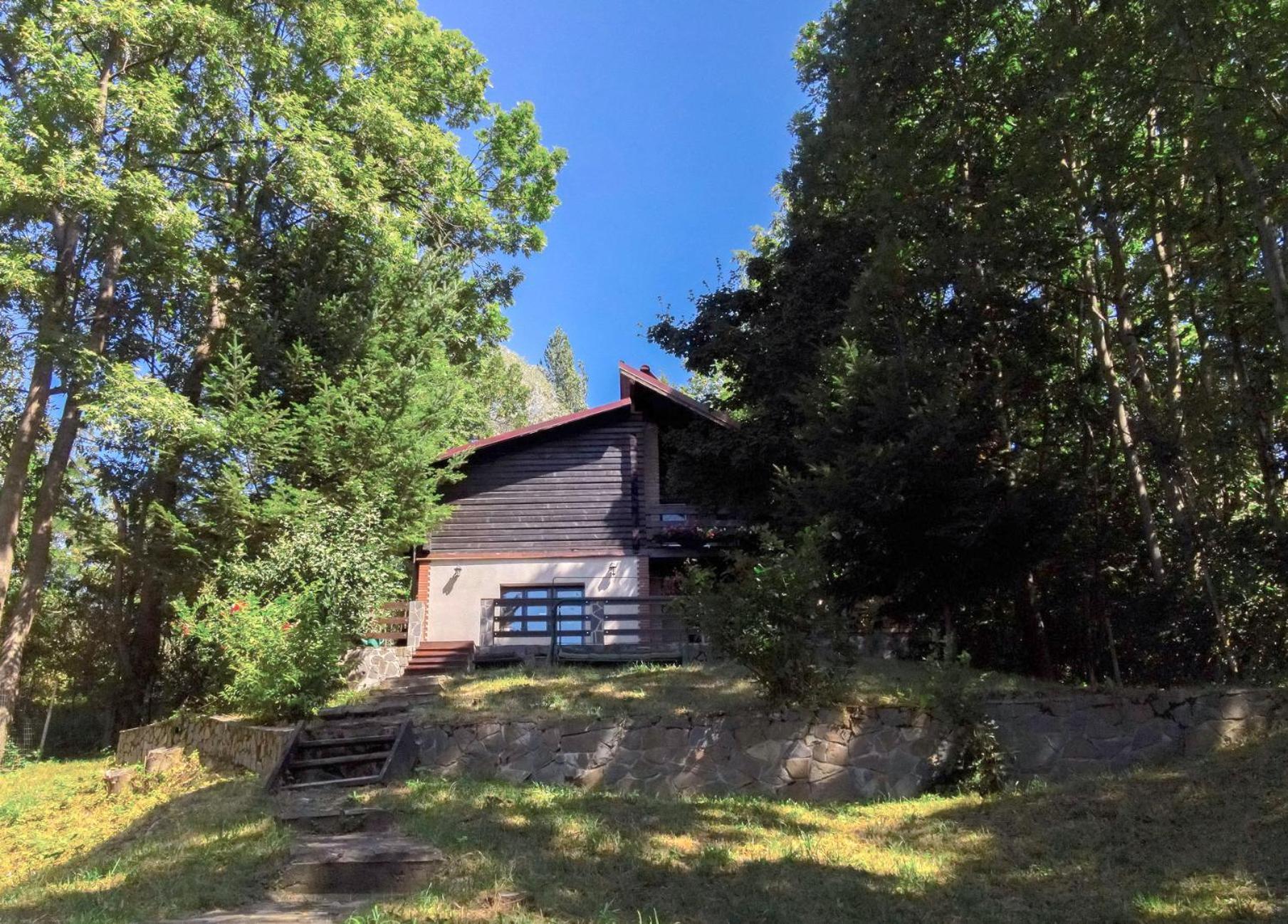 Mountain Family Chalet On Prahova Valley Комарник Екстериор снимка